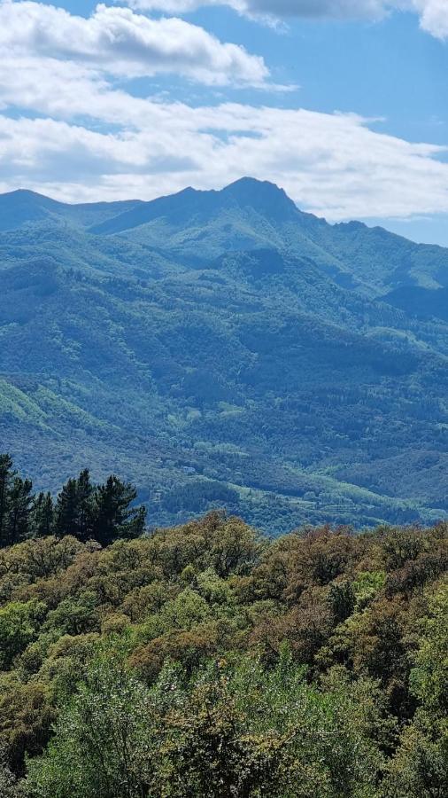 Ca La Pauleta Villa Sant Hilari Sacalm Kültér fotó