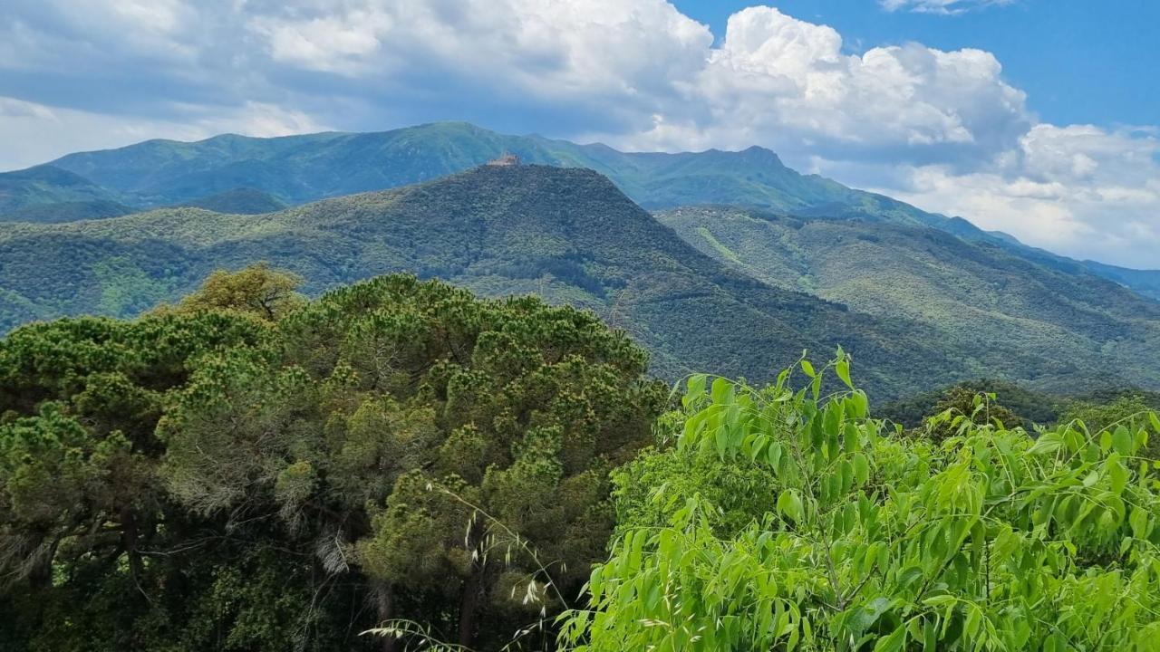 Ca La Pauleta Villa Sant Hilari Sacalm Kültér fotó