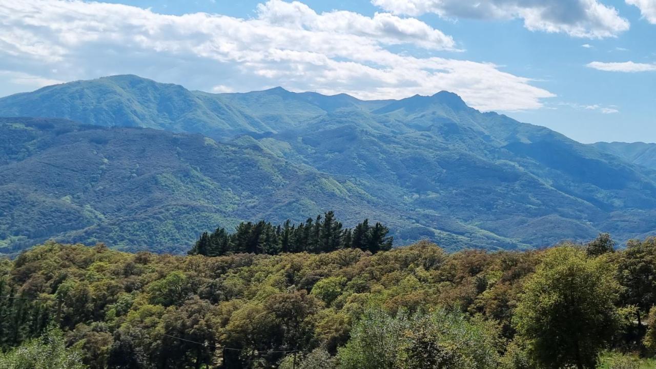 Ca La Pauleta Villa Sant Hilari Sacalm Kültér fotó