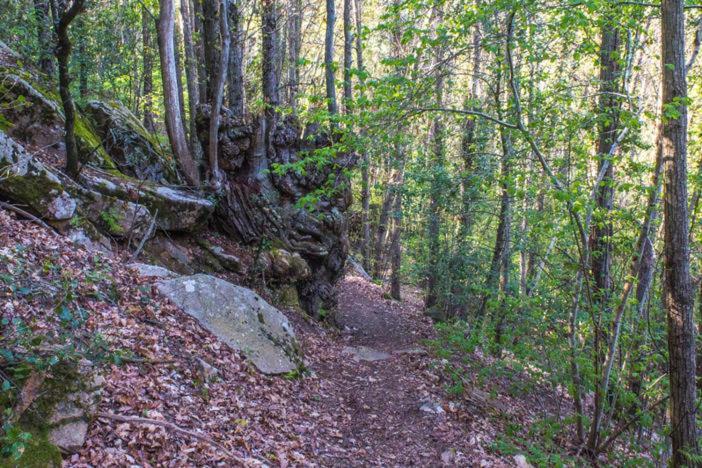 Ca La Pauleta Villa Sant Hilari Sacalm Kültér fotó