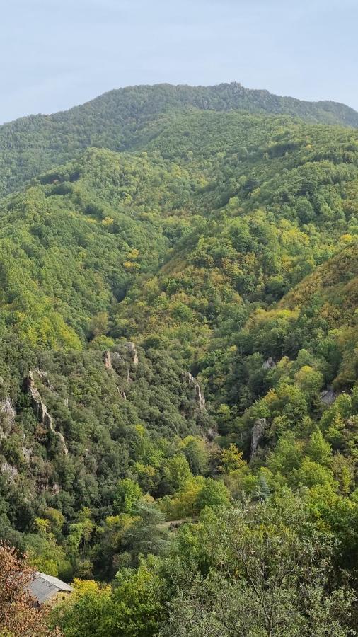 Ca La Pauleta Villa Sant Hilari Sacalm Kültér fotó