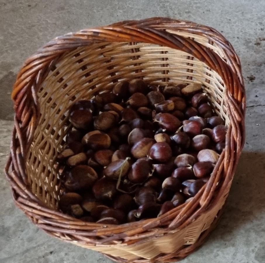 Ca La Pauleta Villa Sant Hilari Sacalm Kültér fotó
