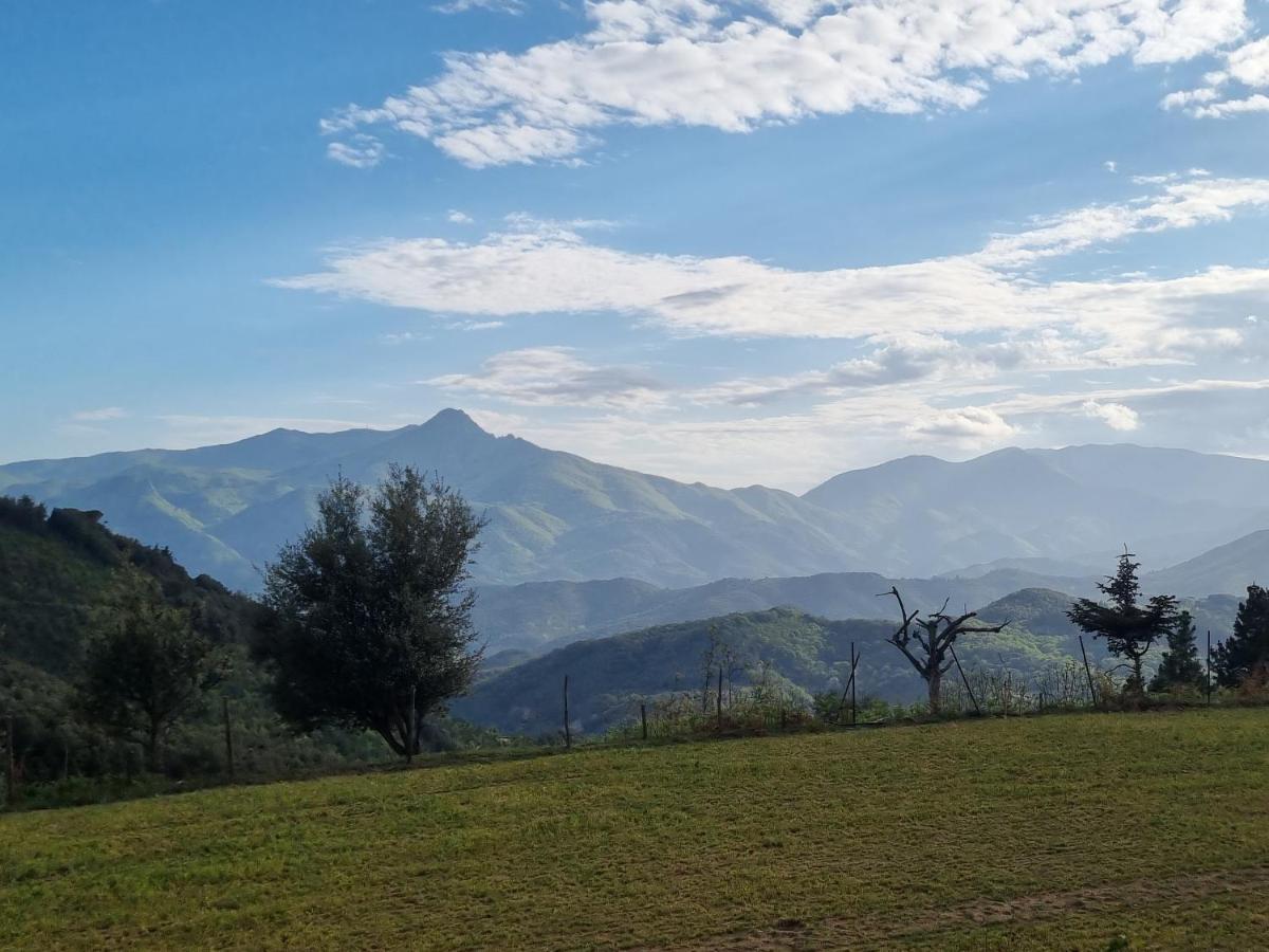 Ca La Pauleta Villa Sant Hilari Sacalm Kültér fotó