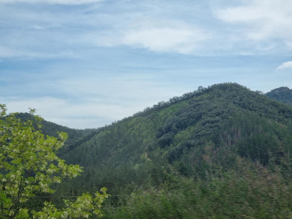 Ca La Pauleta Villa Sant Hilari Sacalm Kültér fotó