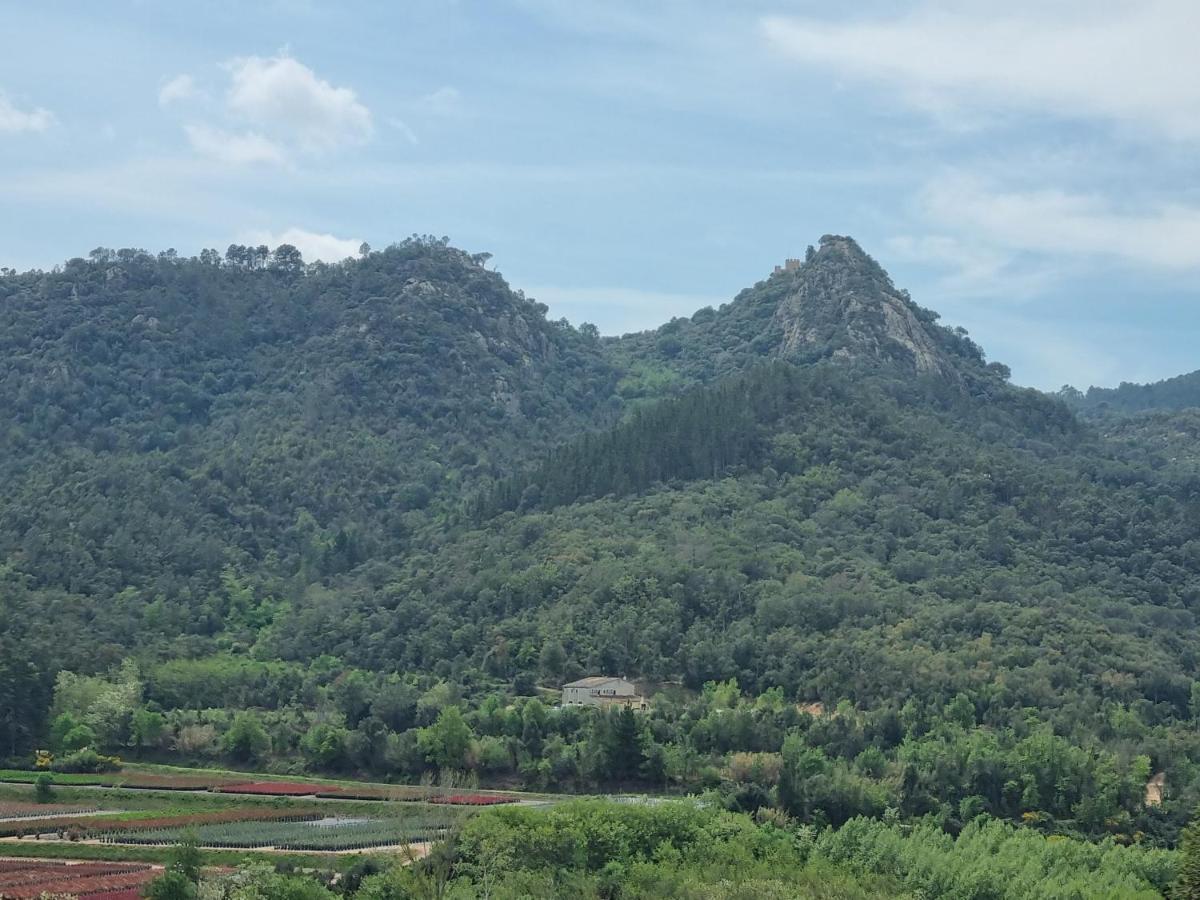 Ca La Pauleta Villa Sant Hilari Sacalm Kültér fotó